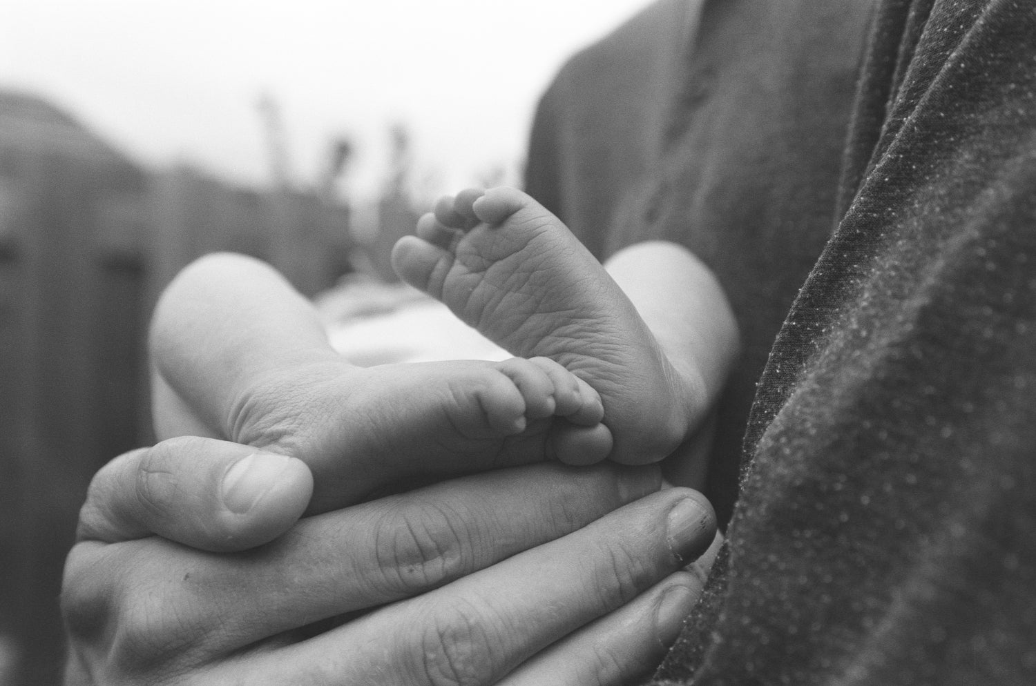 a-mans-hand-cradles-a-newborn-baby